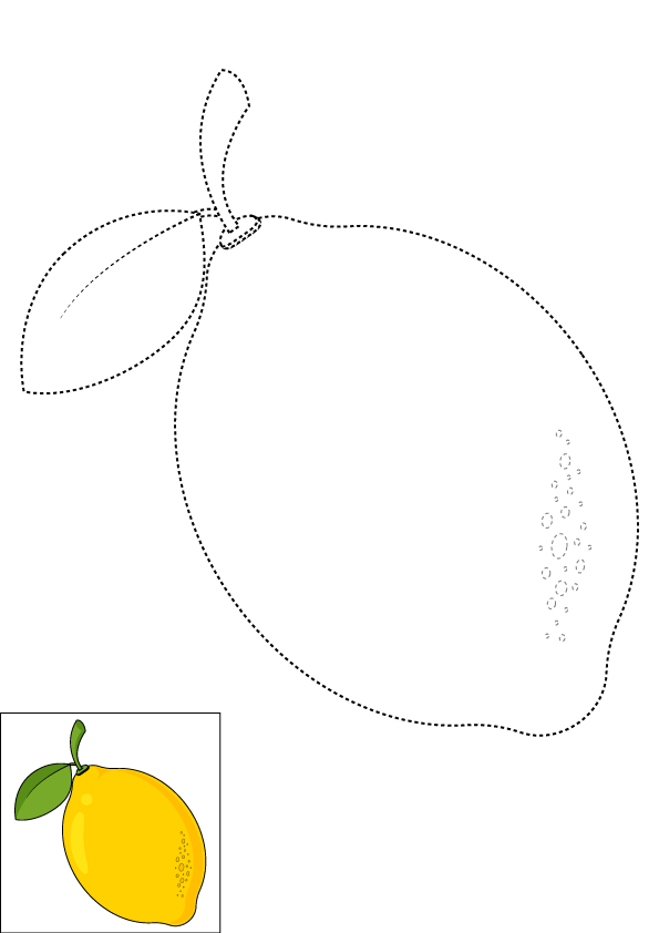 How to Draw A Lemon Step by Step Printable Dotted