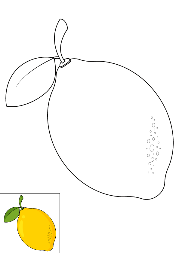 How to Draw A Lemon Step by Step Printable Color
