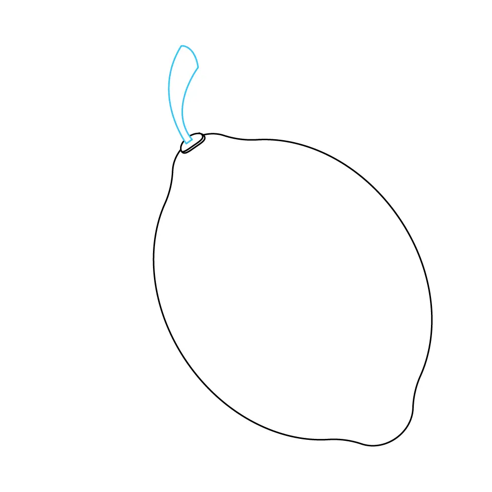 How to Draw A Lemon Step by Step Step  4