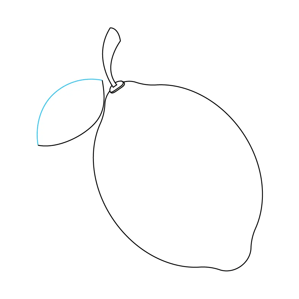 How to Draw A Lemon Step by Step Step  6
