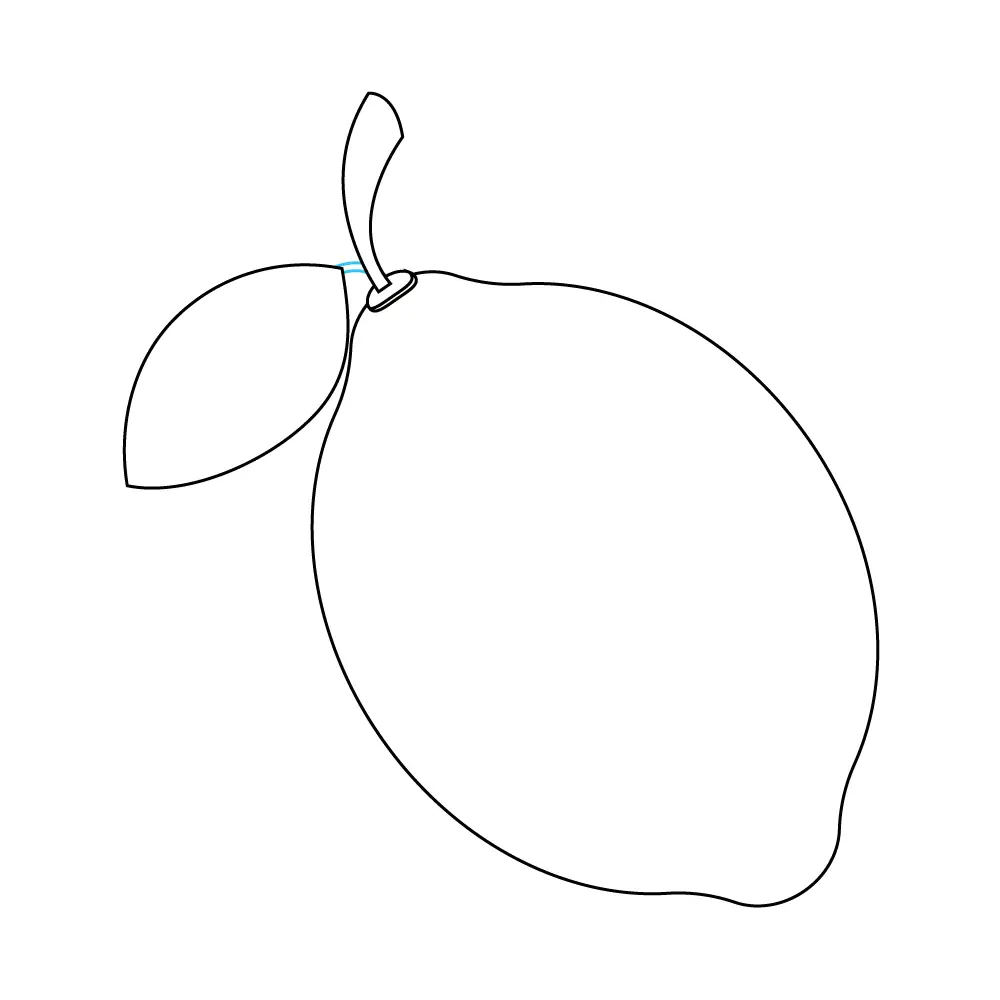 How to Draw A Lemon Step by Step Step  7