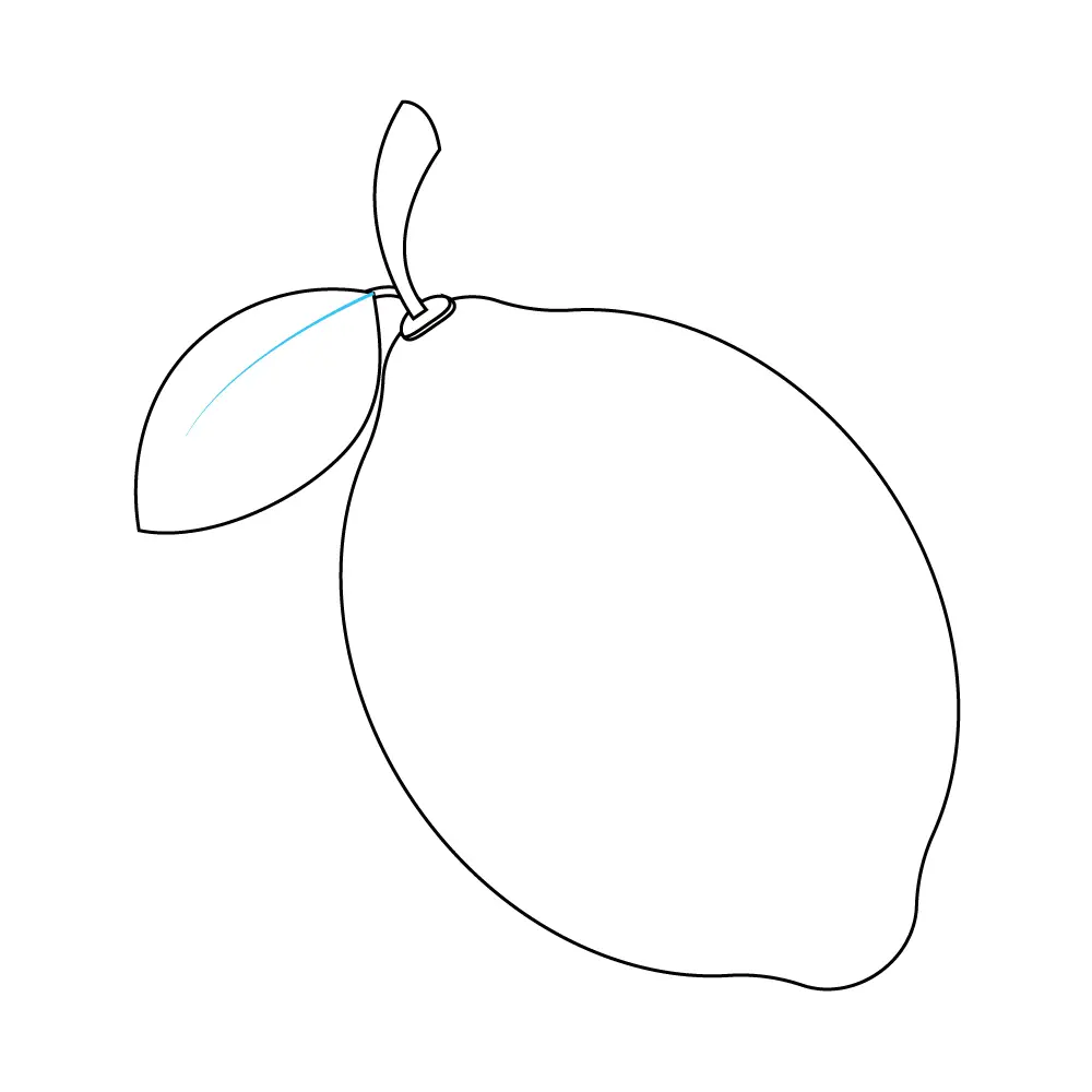 How to Draw A Lemon Step by Step Step  8