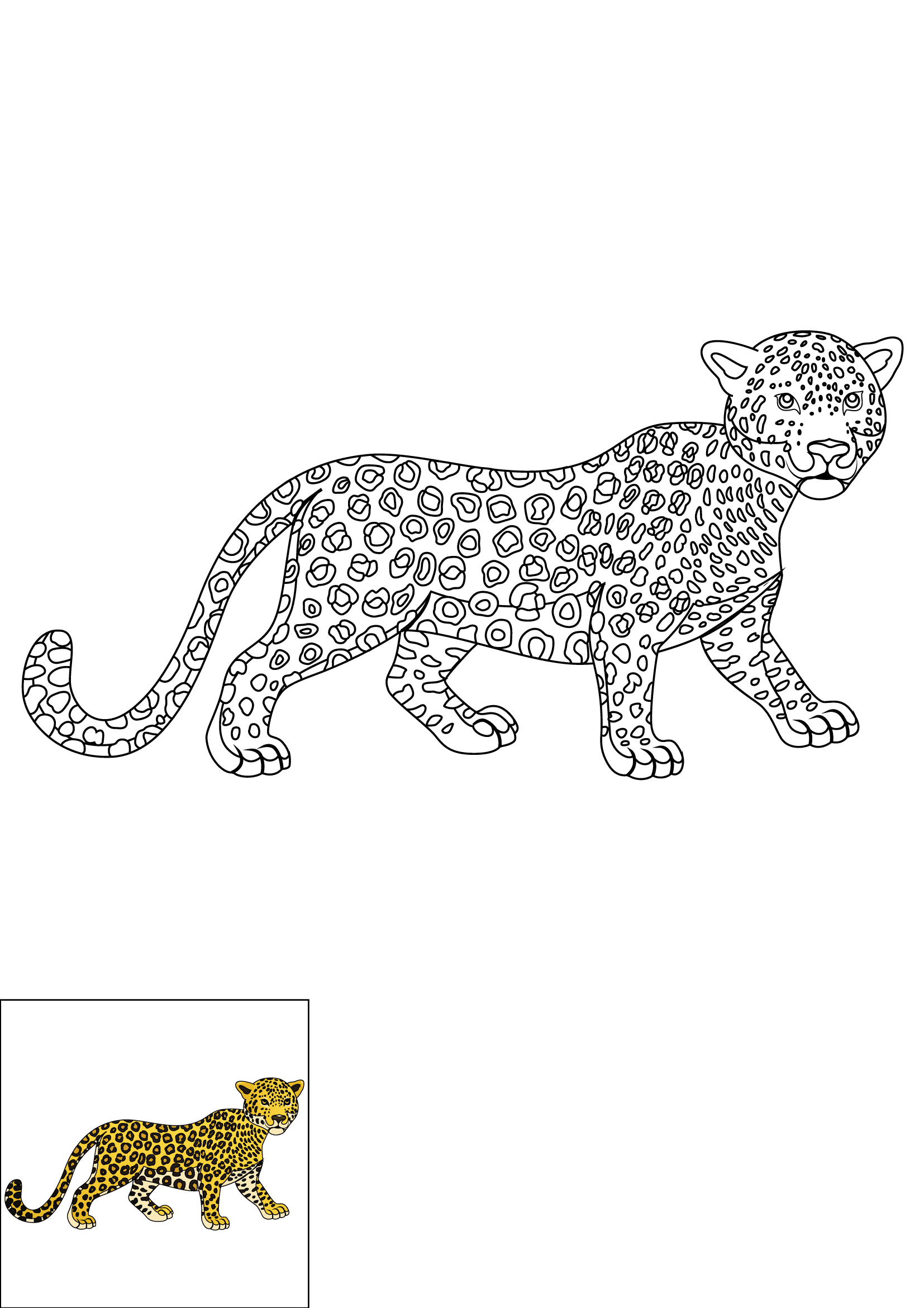 How to Draw A Leopard Step by Step Printable Color
