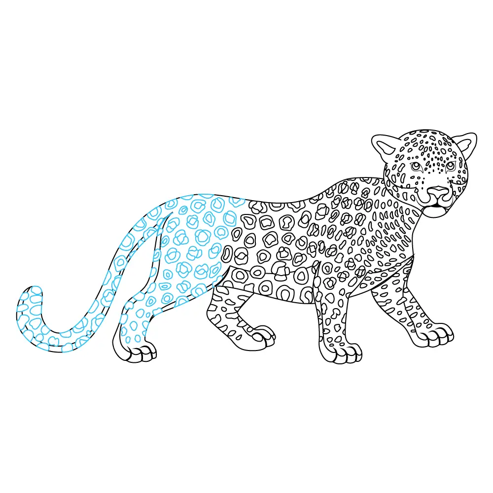 How to Draw A Leopard Step by Step Step  10