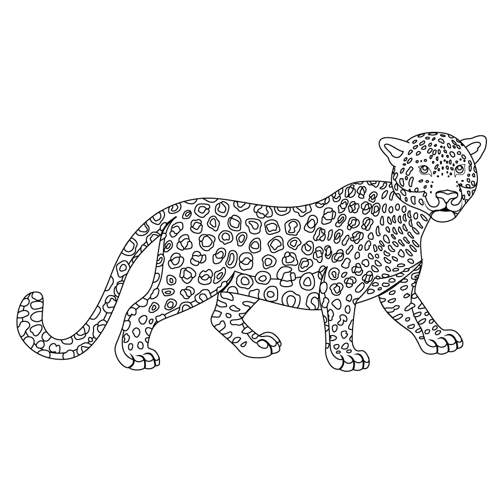 How to Draw A Leopard Step by Step Step  11
