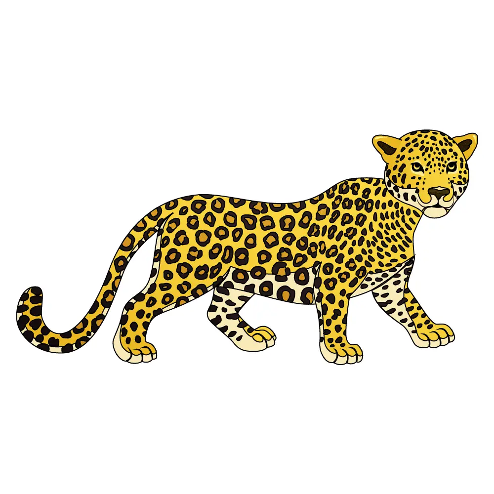 How to Draw A Leopard Step by Step Step  12