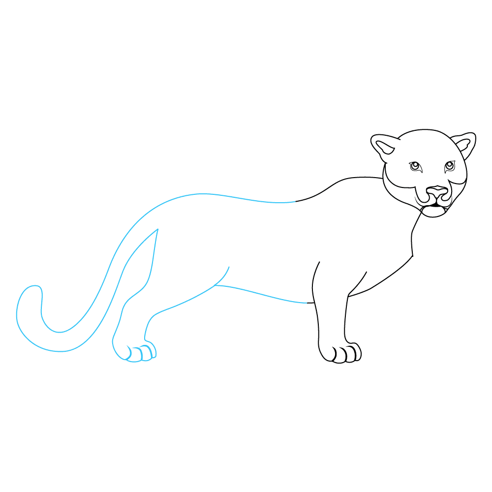 How to Draw A Leopard Step by Step Step  5