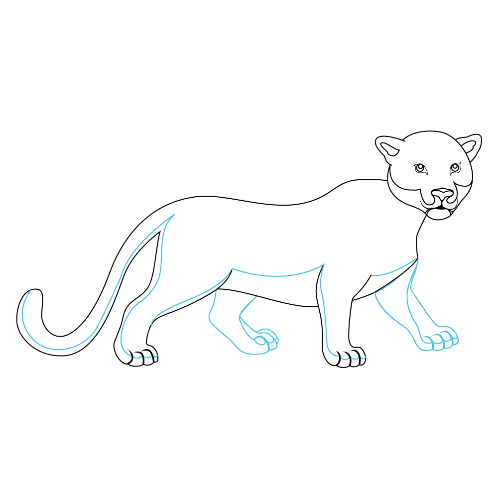 How to Draw A Leopard Step by Step Step  6