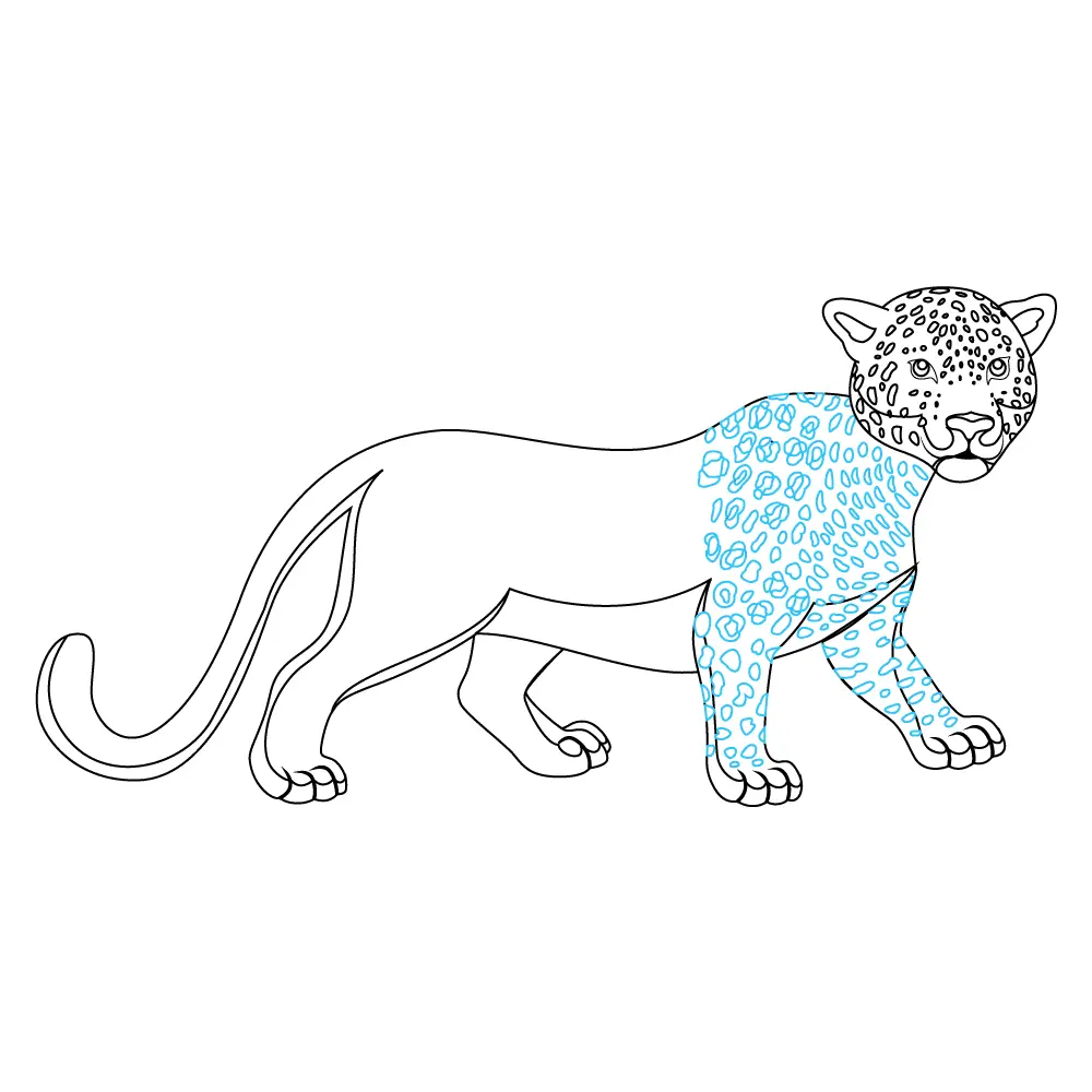 How to Draw A Leopard Step by Step Step  8