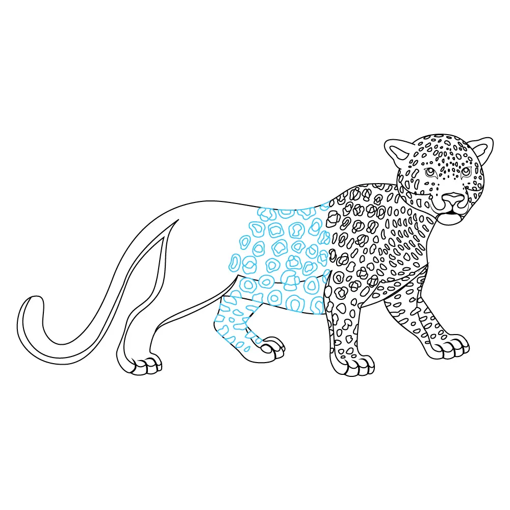 How to Draw A Leopard Step by Step Step  9