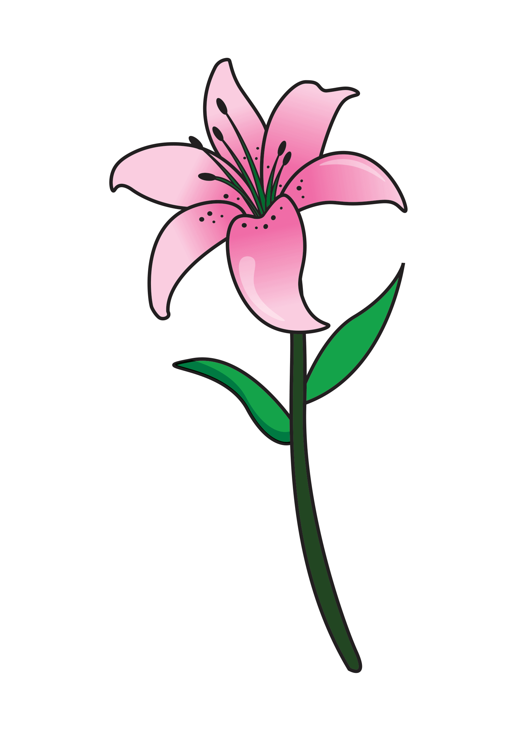 How to Draw A Lily Step by Step Printable