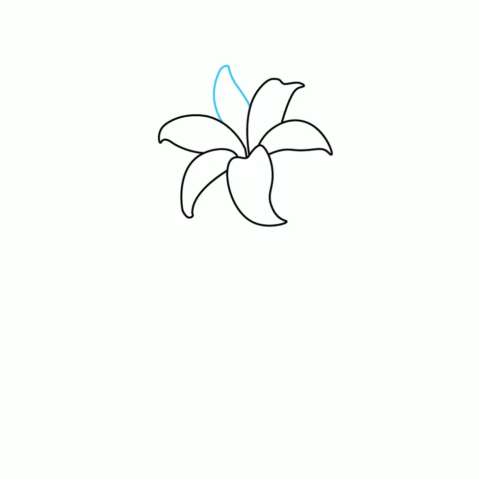 How to Draw A Lily Step by Step Step  4
