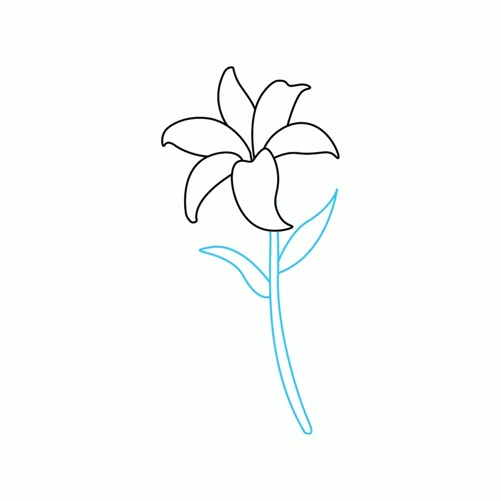 How to Draw A Lily Step by Step Step  5