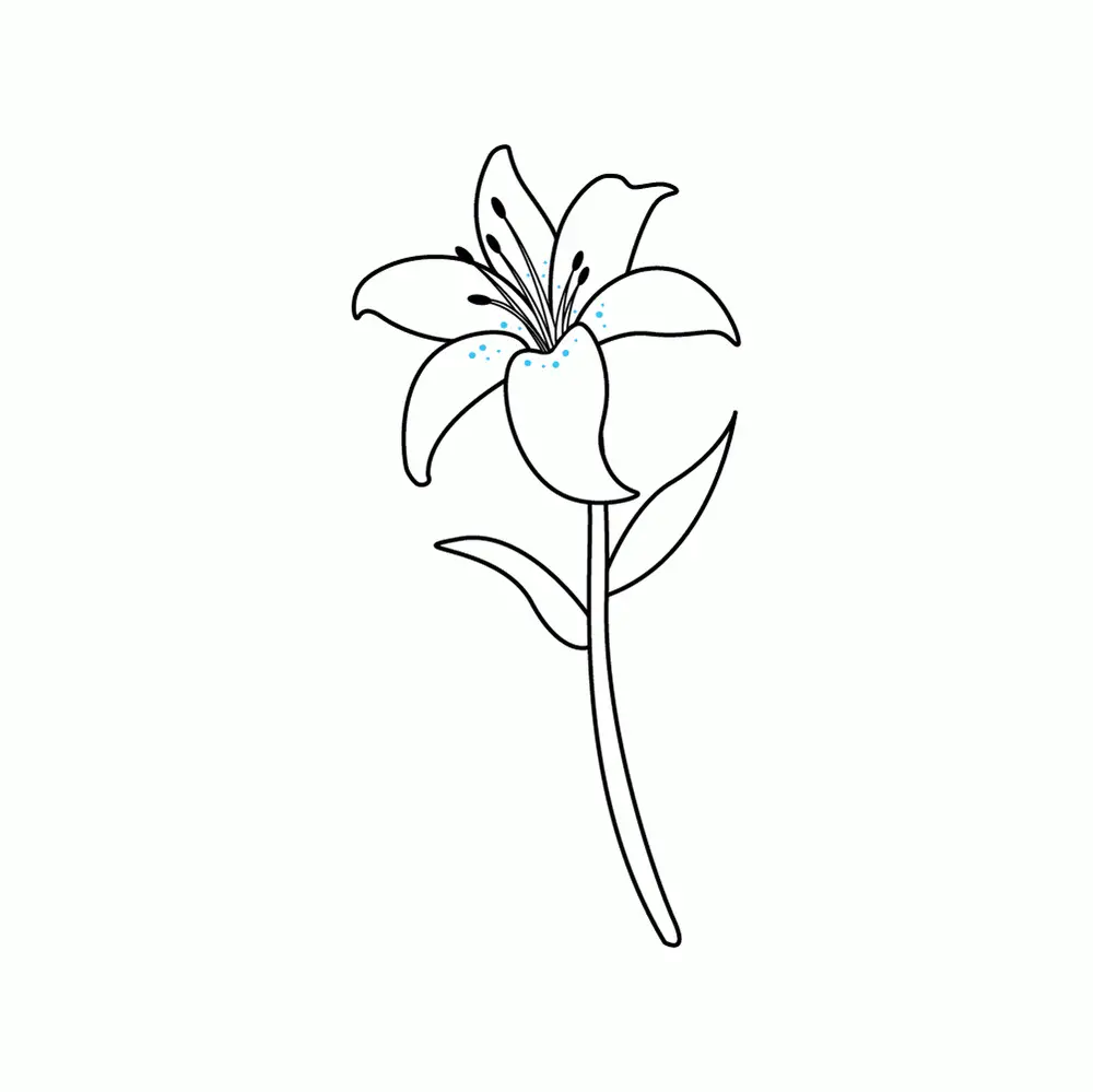 How to Draw A Lily Step by Step Step  7