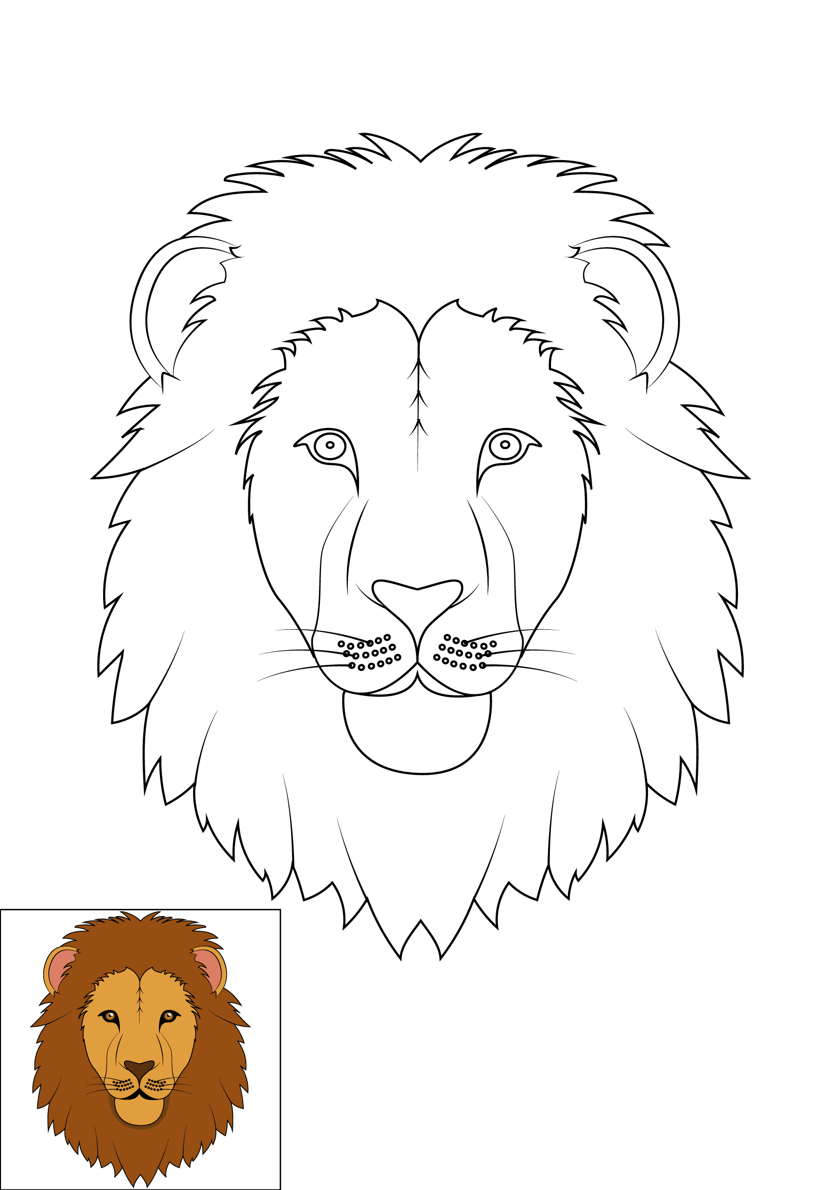 How to Draw A Lion Face Step by Step Printable Color