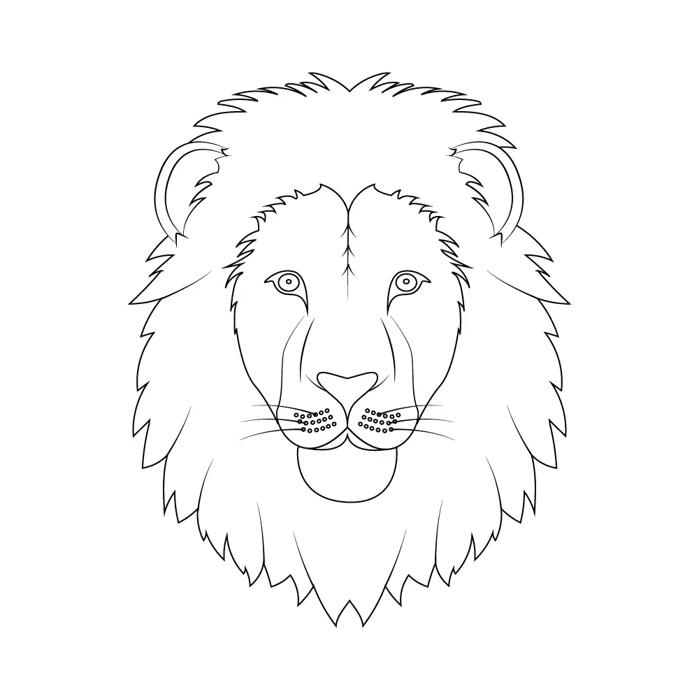 How to Draw A Lion Face Step by Step Step  10