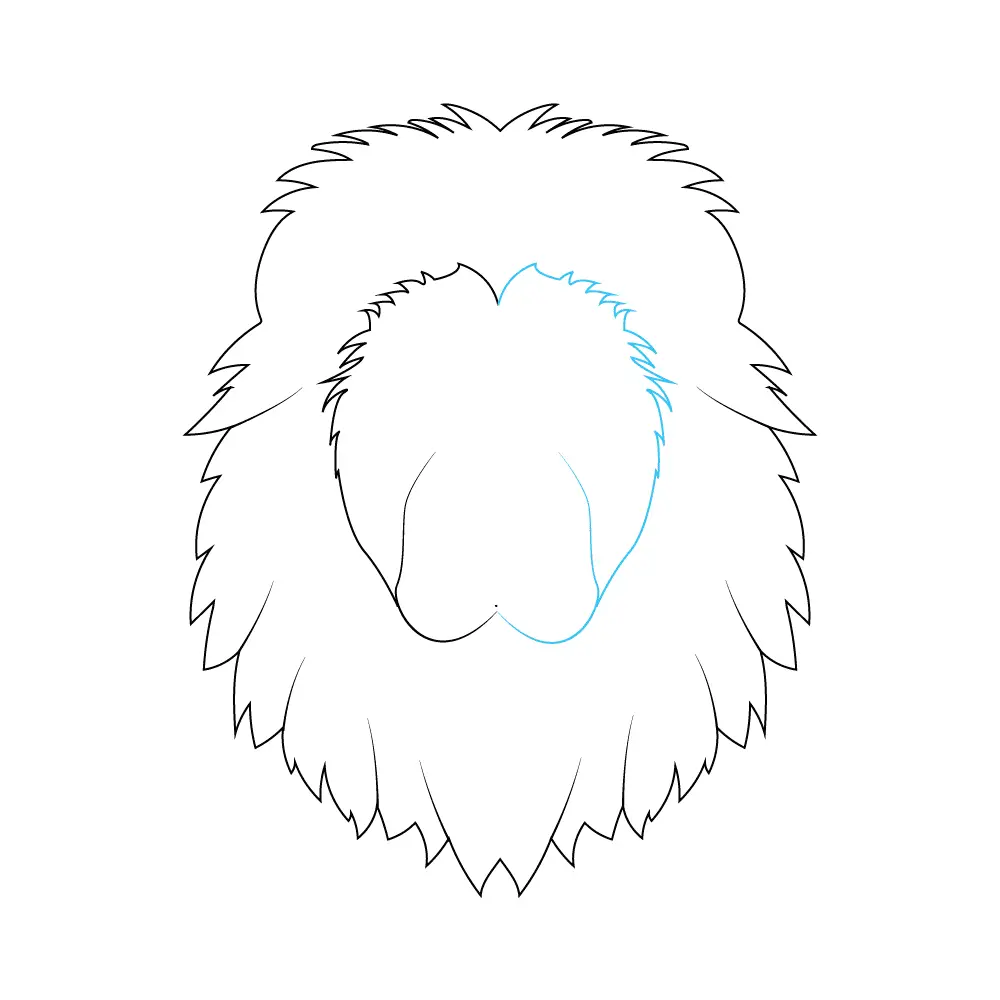 How to Draw A Lion Face Step by Step Step  4