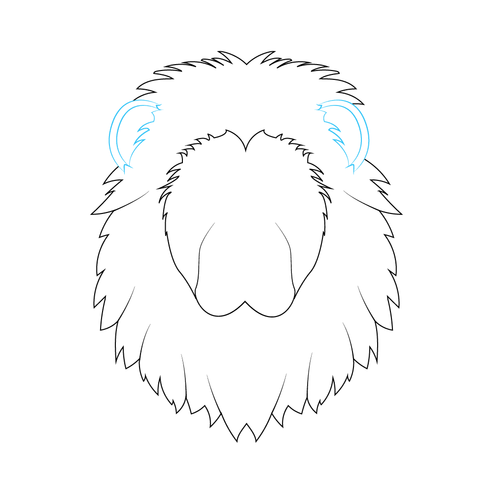 How to Draw A Lion Face Step by Step Step  5