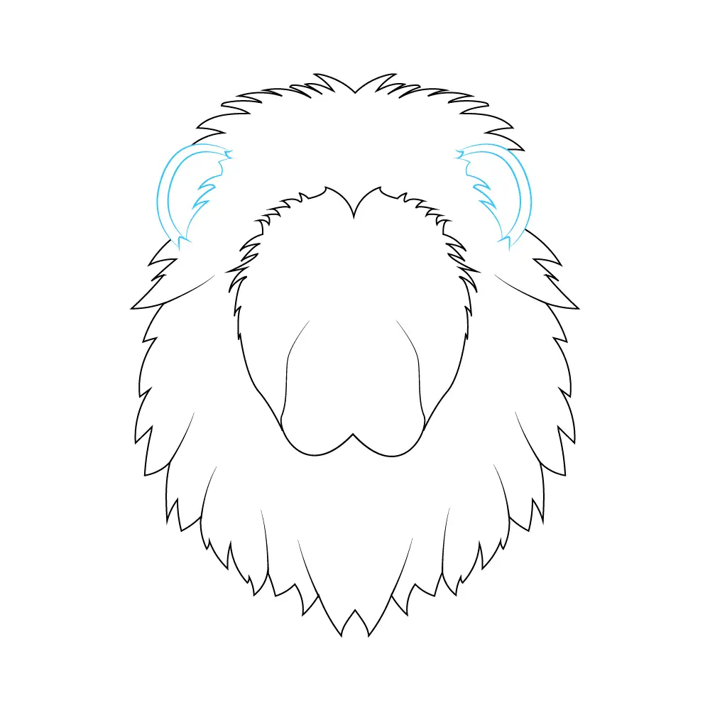 How to Draw A Lion Face Step by Step Step  5