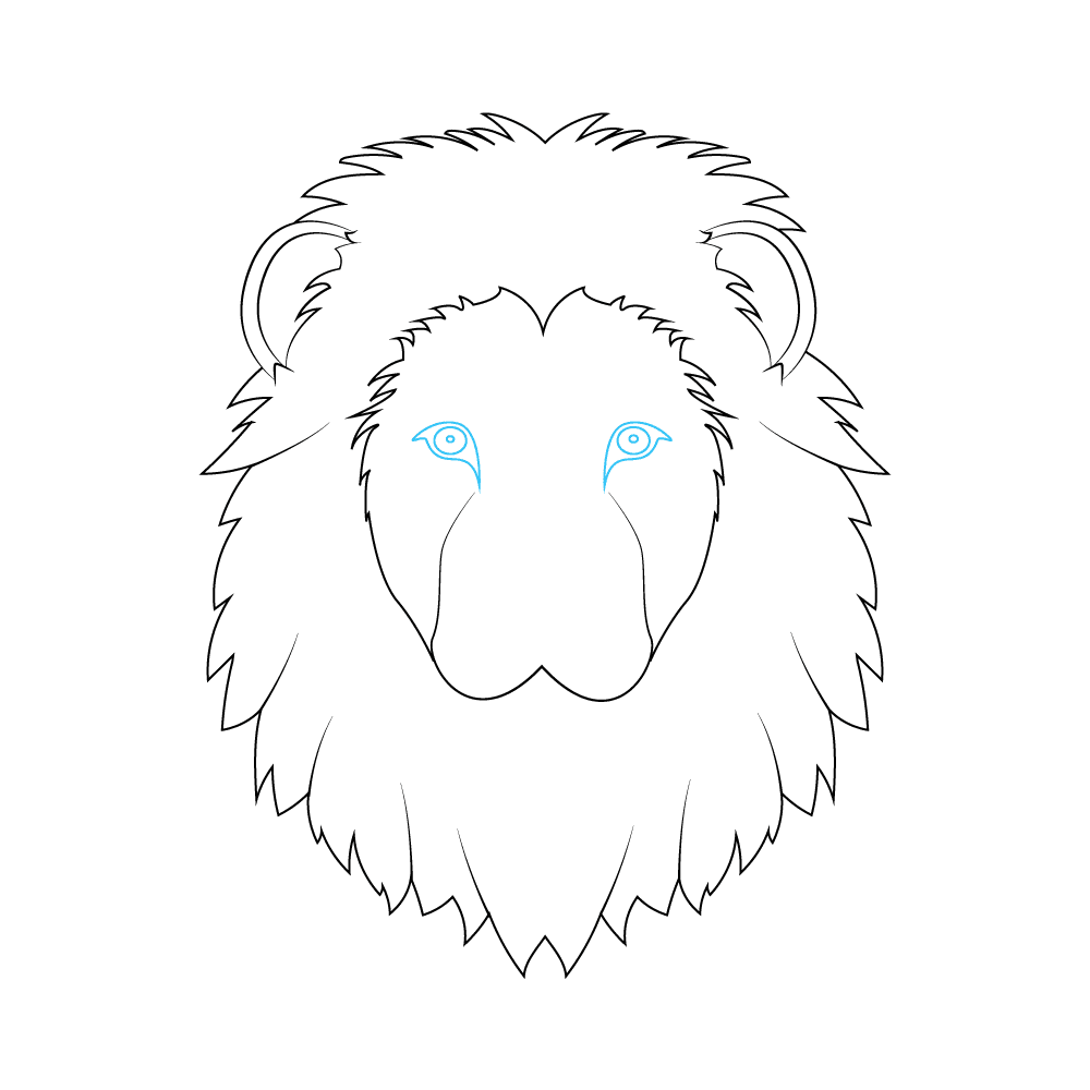 How to Draw A Lion Face Step by Step Step  6