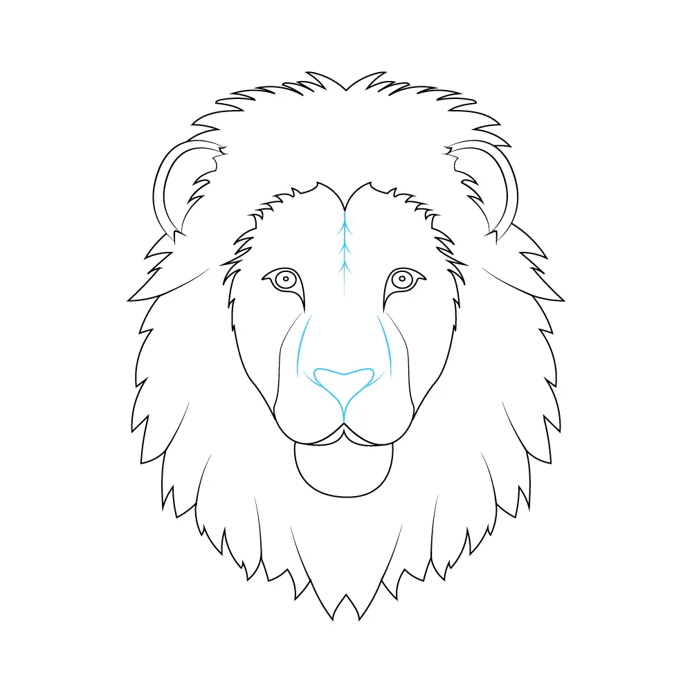 How to Draw A Lion Face Step by Step Step  8