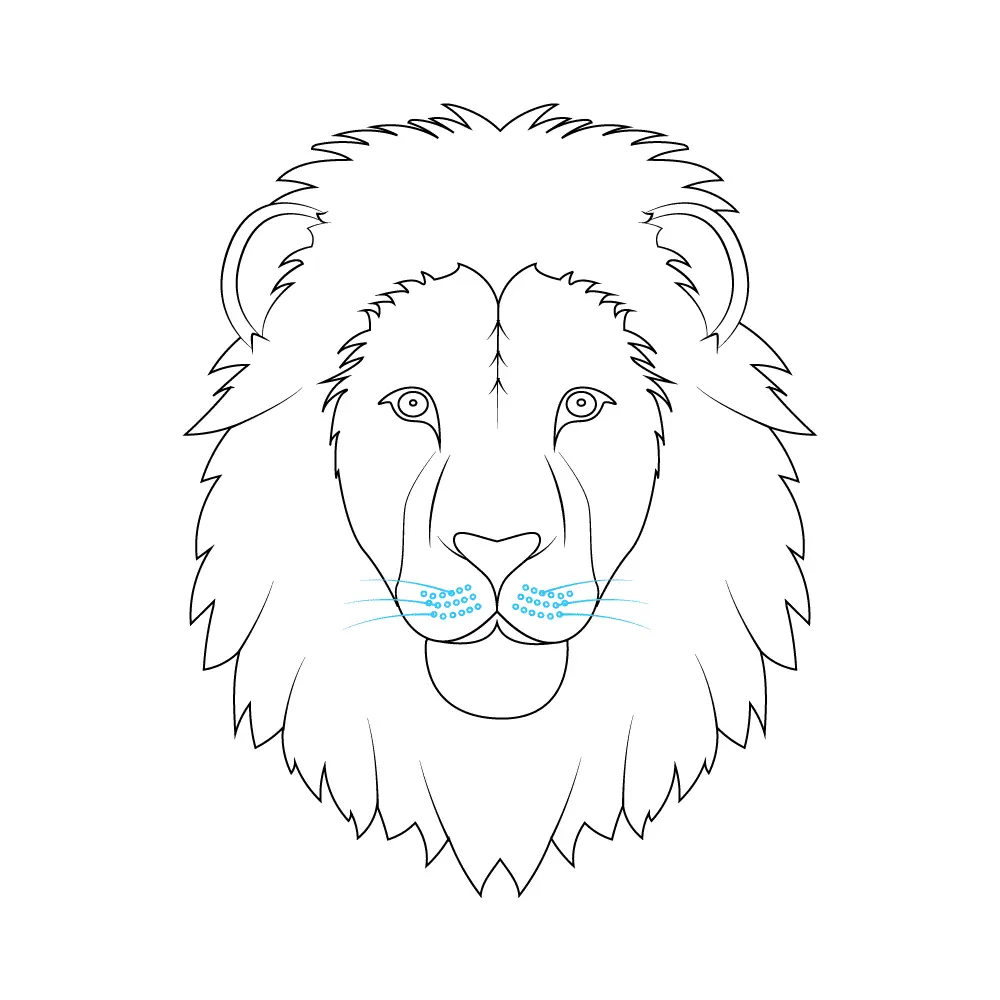 How to Draw A Lion Face Step by Step Step  9
