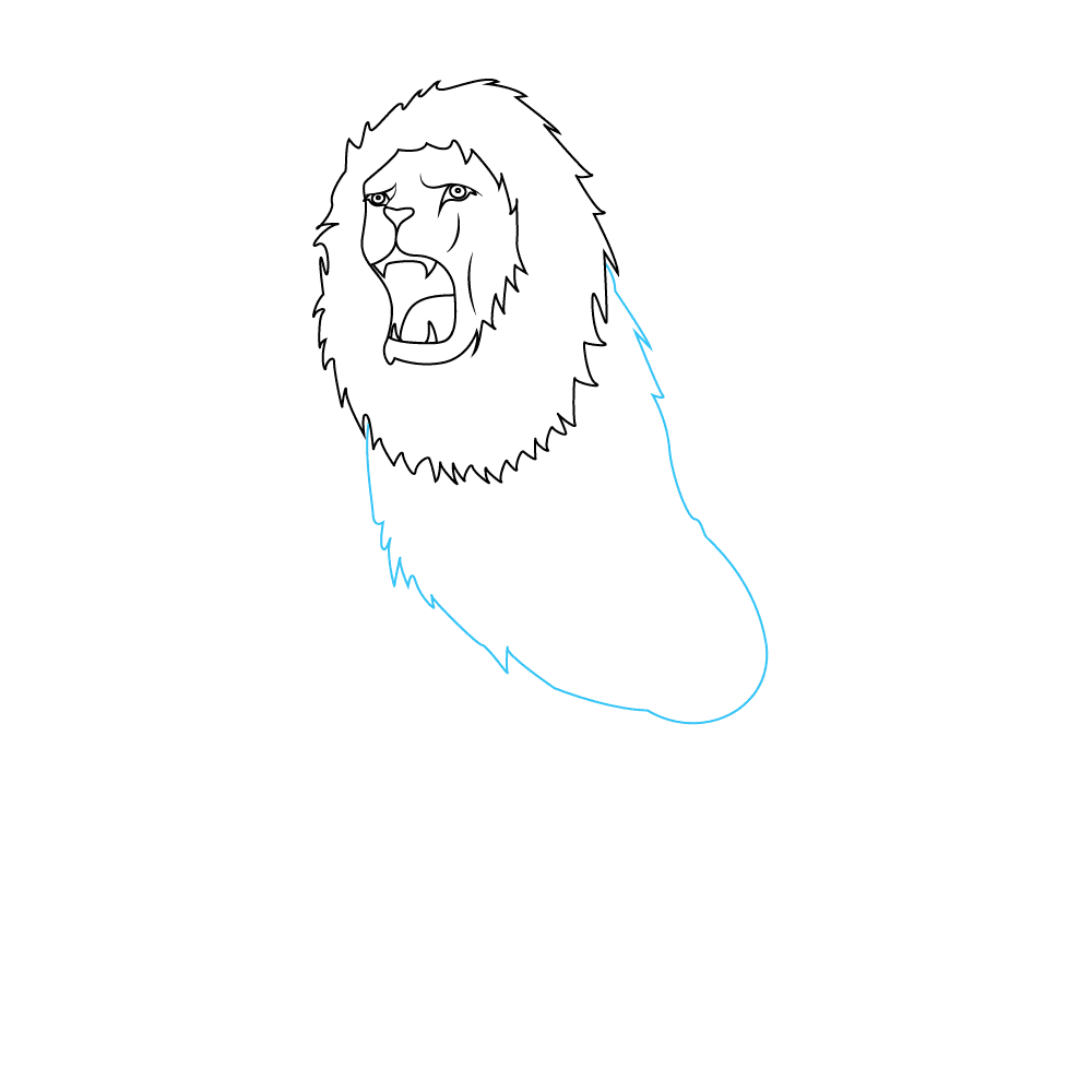 How to Draw A Lion Roaring Step by Step Step  5