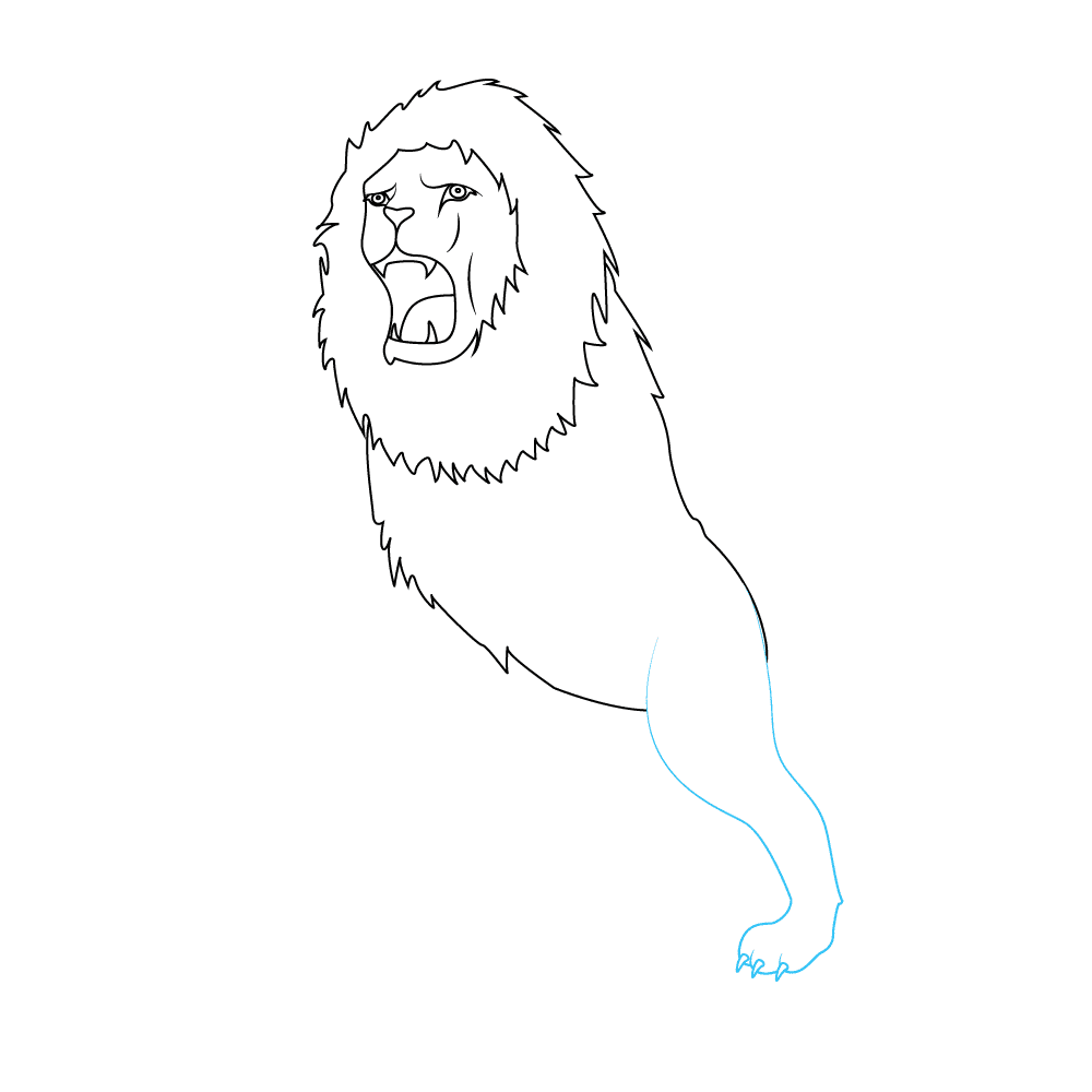 How to Draw A Lion Roaring Step by Step Step  6