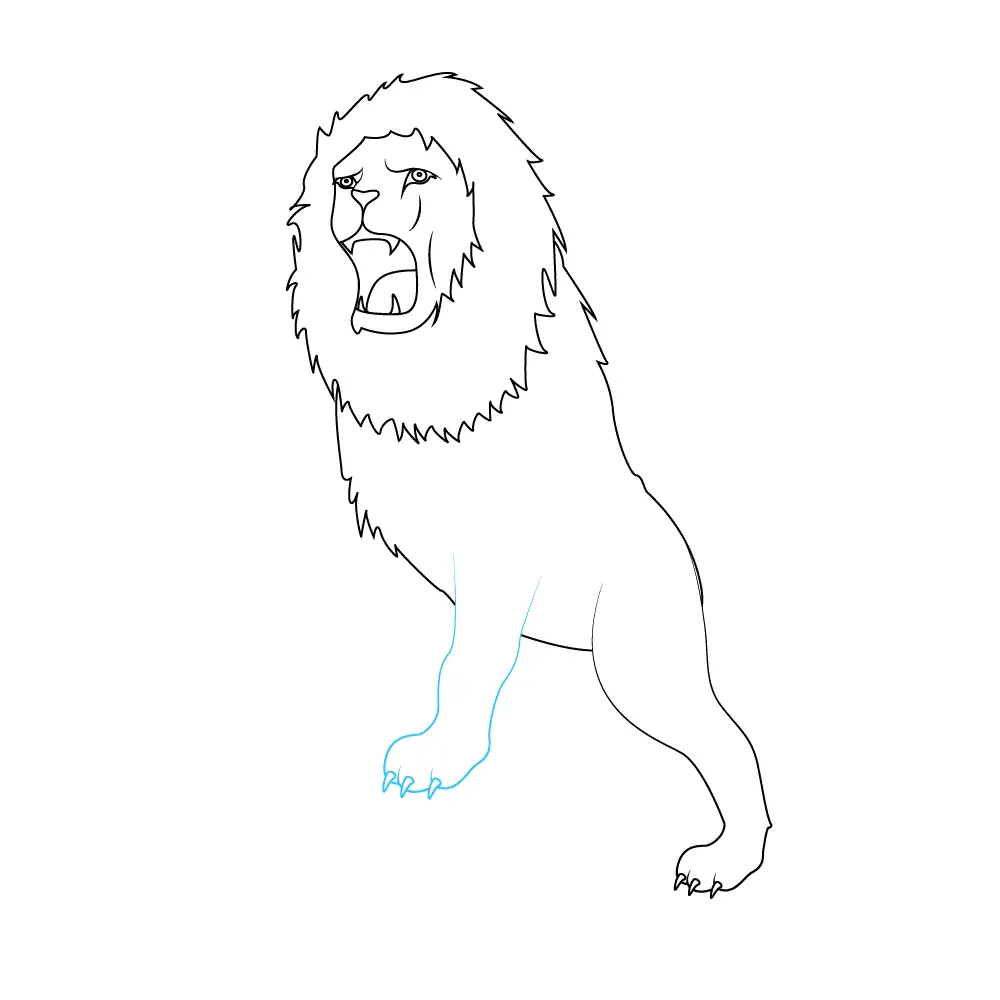 How to Draw A Lion Roaring Step by Step