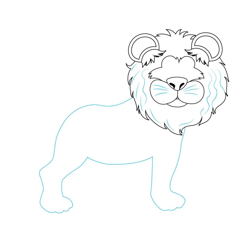 How to Draw A Lion Step by Step Step  5