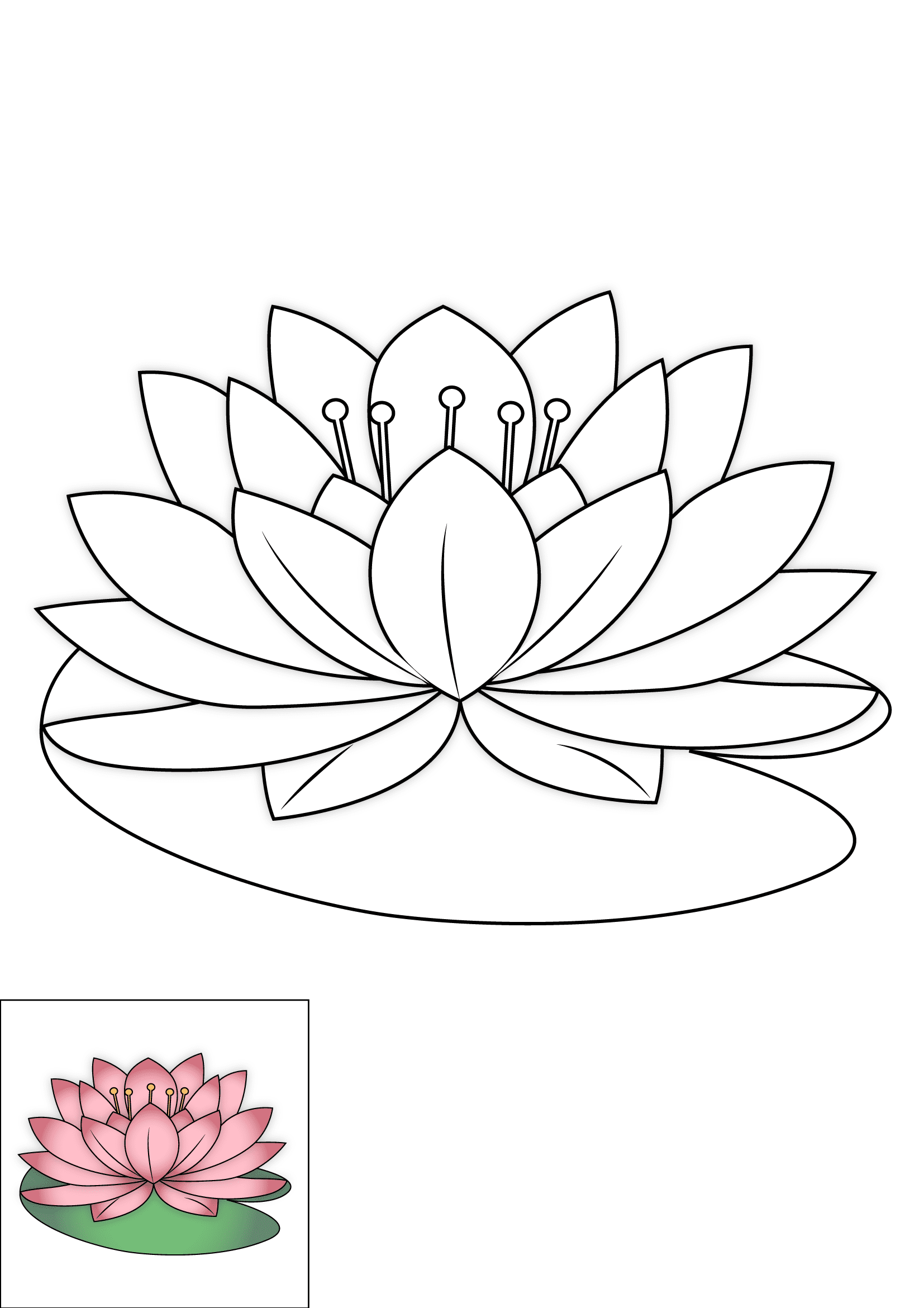 How to Draw A Lotus Flower Step by Step Printable Color