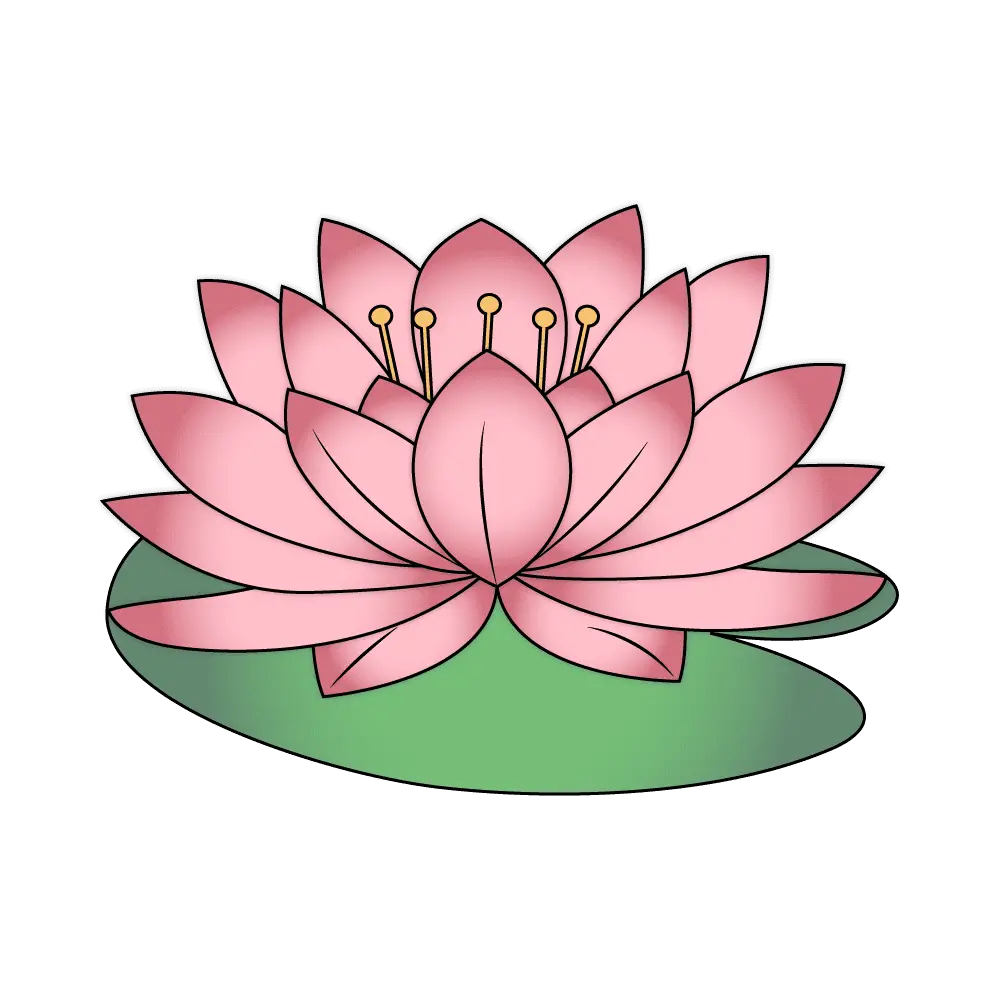 How to Draw A Lotus Flower Step by Step Thumbnail