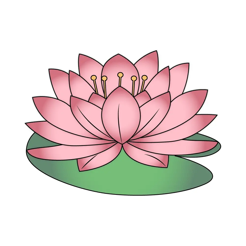 How to Draw A Lotus Flower Step by Step Step  11