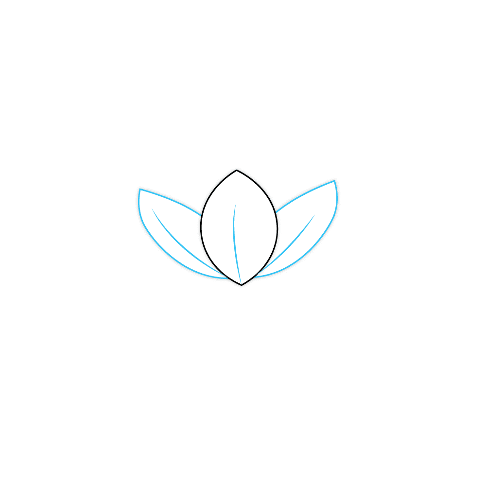 How to Draw A Lotus Flower Step by Step Step  2
