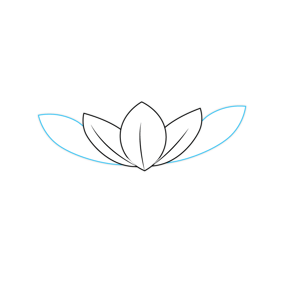 How to Draw A Lotus Flower Step by Step Step  3