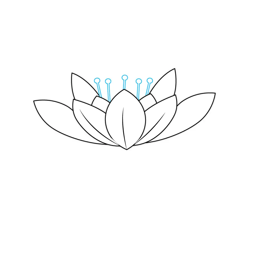 How to Draw A Lotus Flower Step by Step Step  5