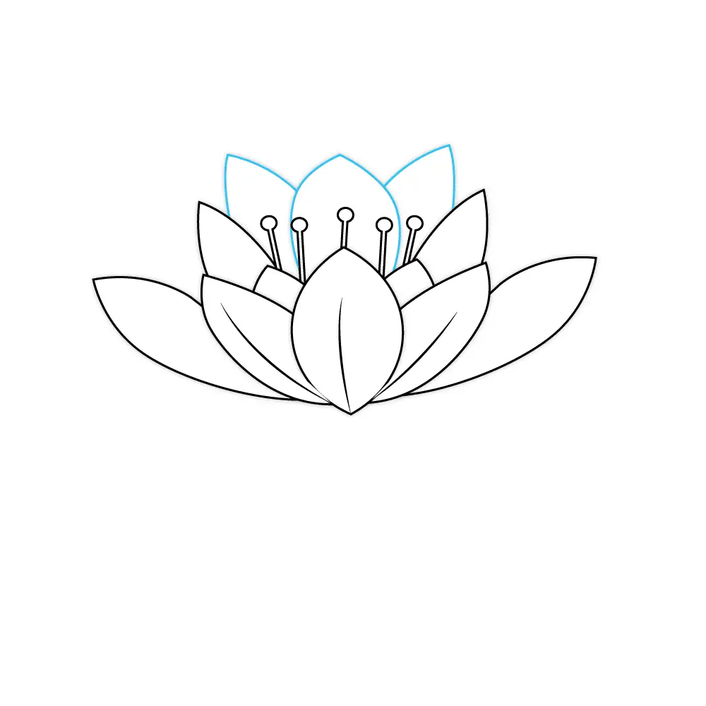 How to Draw A Lotus Flower Step by Step Step  6