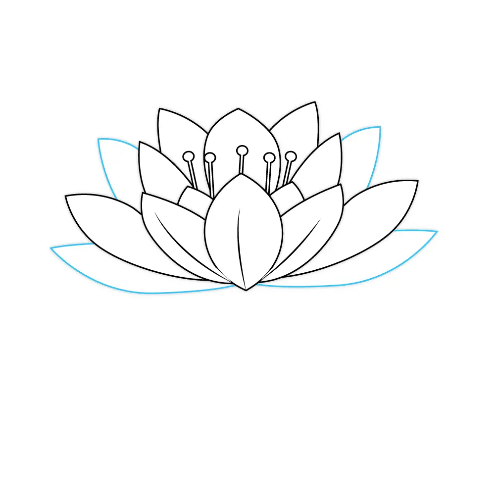 How to Draw A Lotus Flower Step by Step Step  7