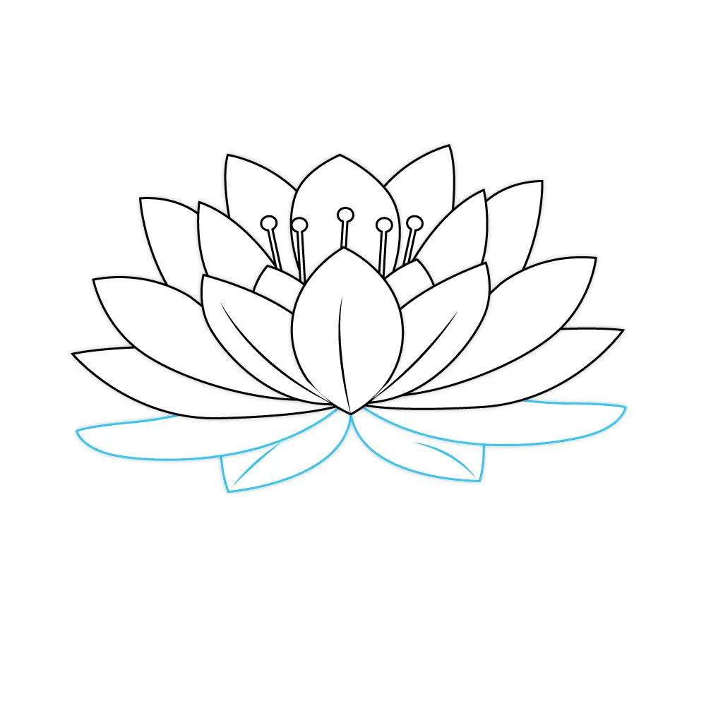 How to Draw A Lotus Flower Step by Step Step  8
