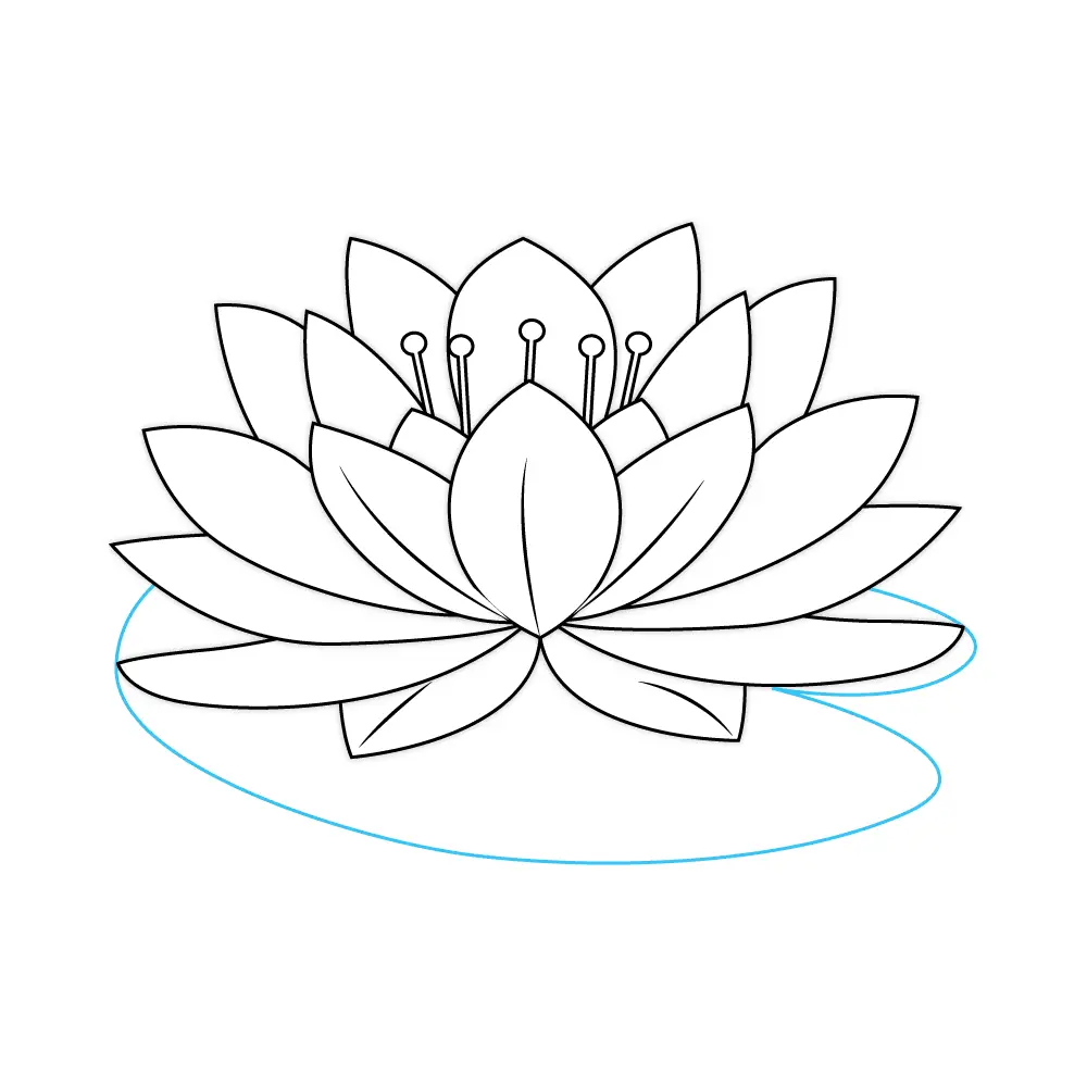 How to Draw A Lotus Flower Step by Step Step  9