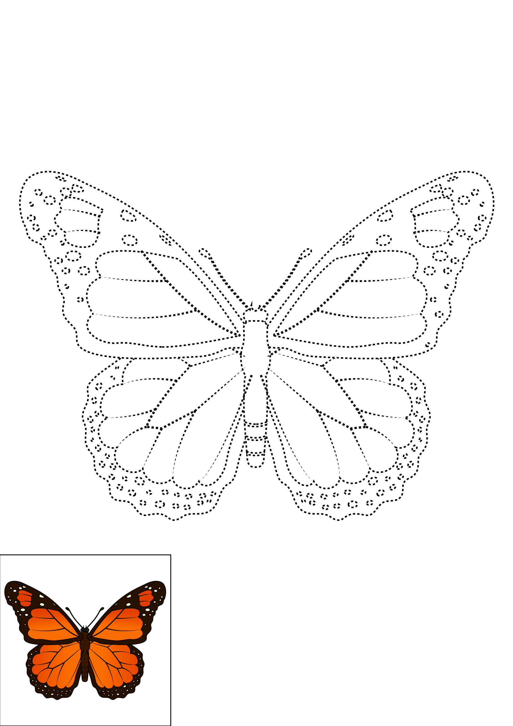 How to Draw A Monarch Butterfly Step by Step Printable Dotted