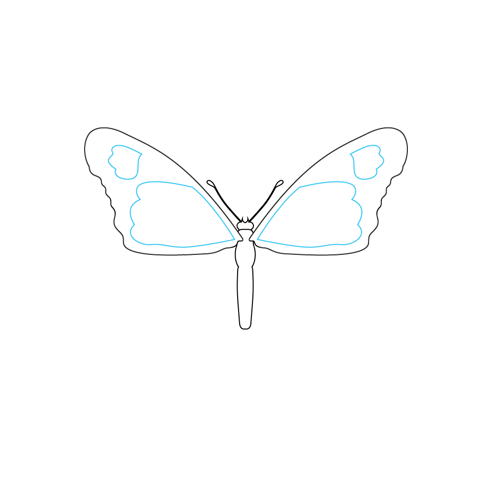 How to Draw A Monarch Butterfly Step by Step Step  4