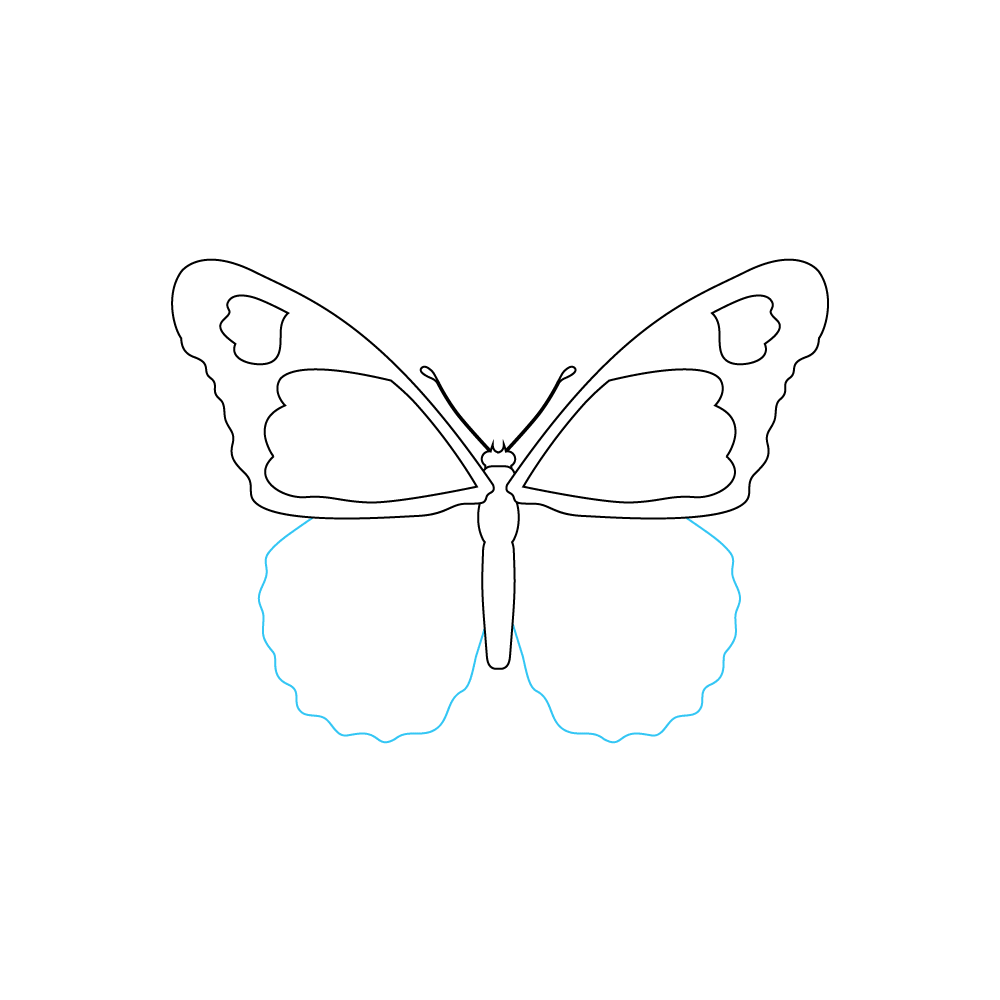 How to Draw A Monarch Butterfly Step by Step Step  5