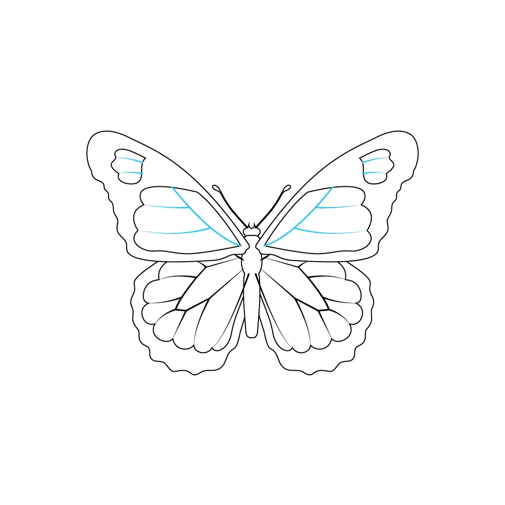 How to Draw A Monarch Butterfly Step by Step Step  8