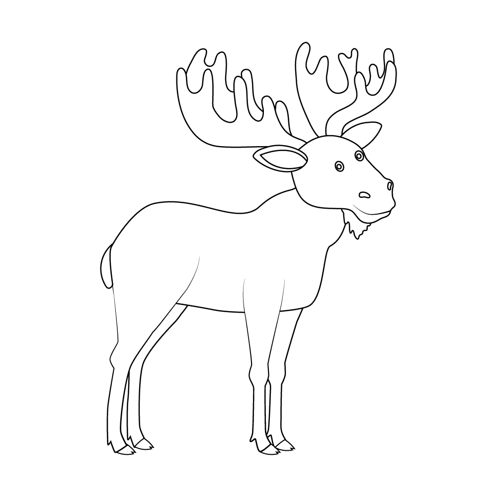 How to Draw A Moose Step by Step Step  11
