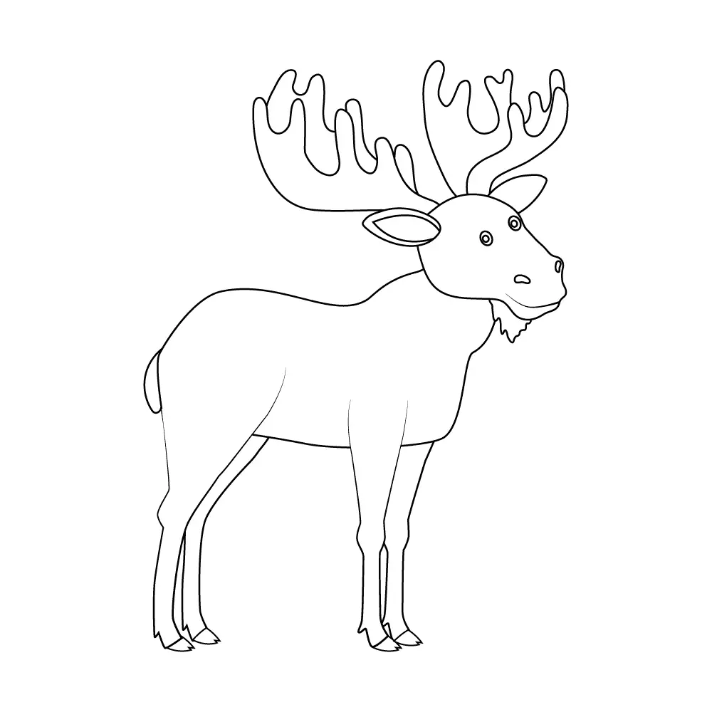 How to Draw A Moose Step by Step Step  11