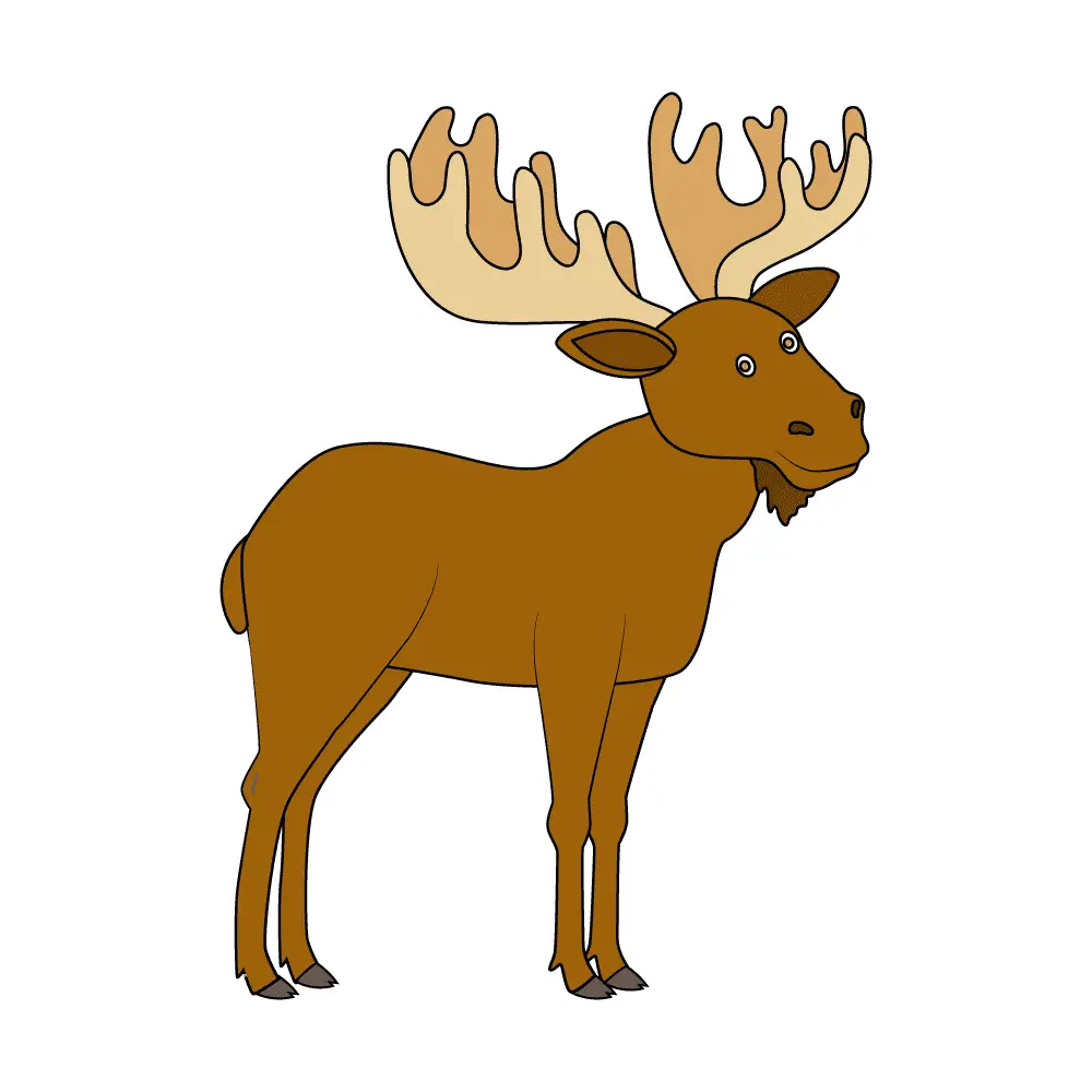 How to Draw A Moose Step by Step Step  12