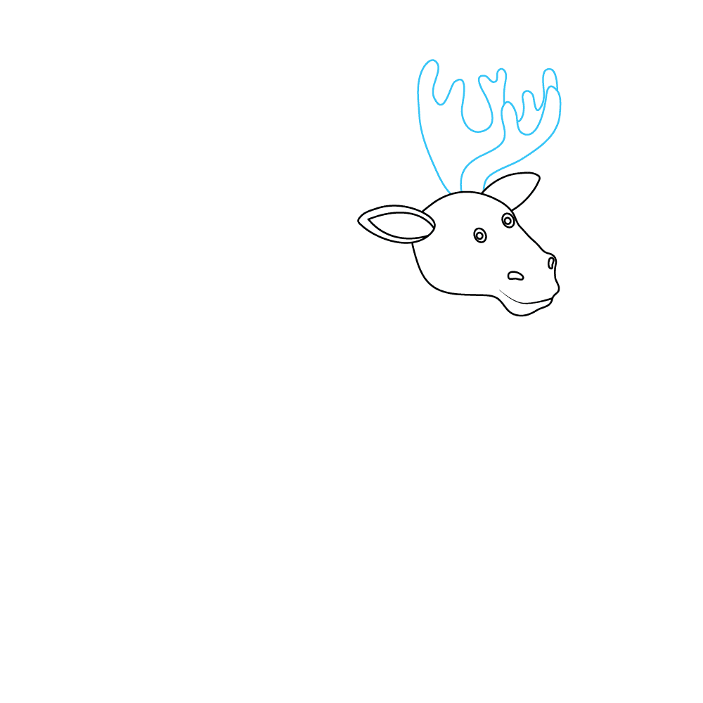 How to Draw A Moose Step by Step Step  4