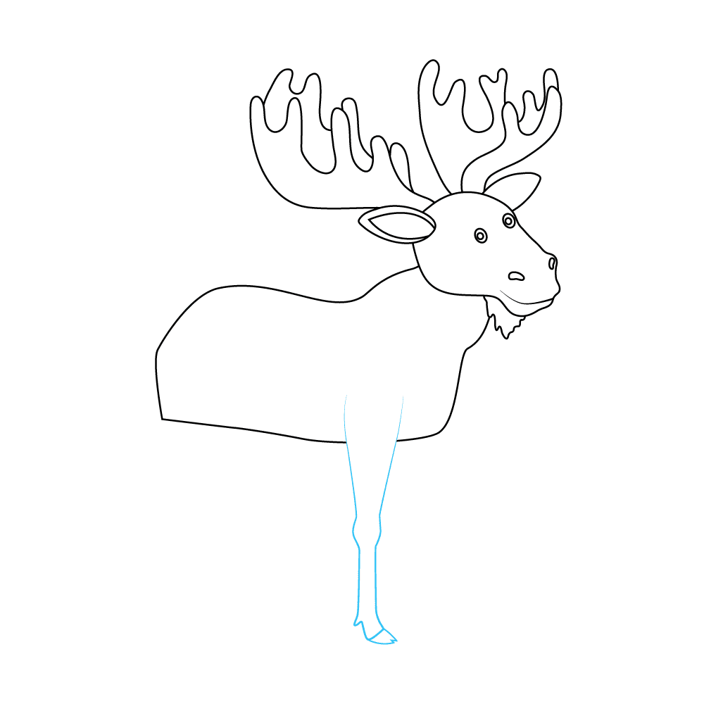 How to Draw A Moose Step by Step Step  8