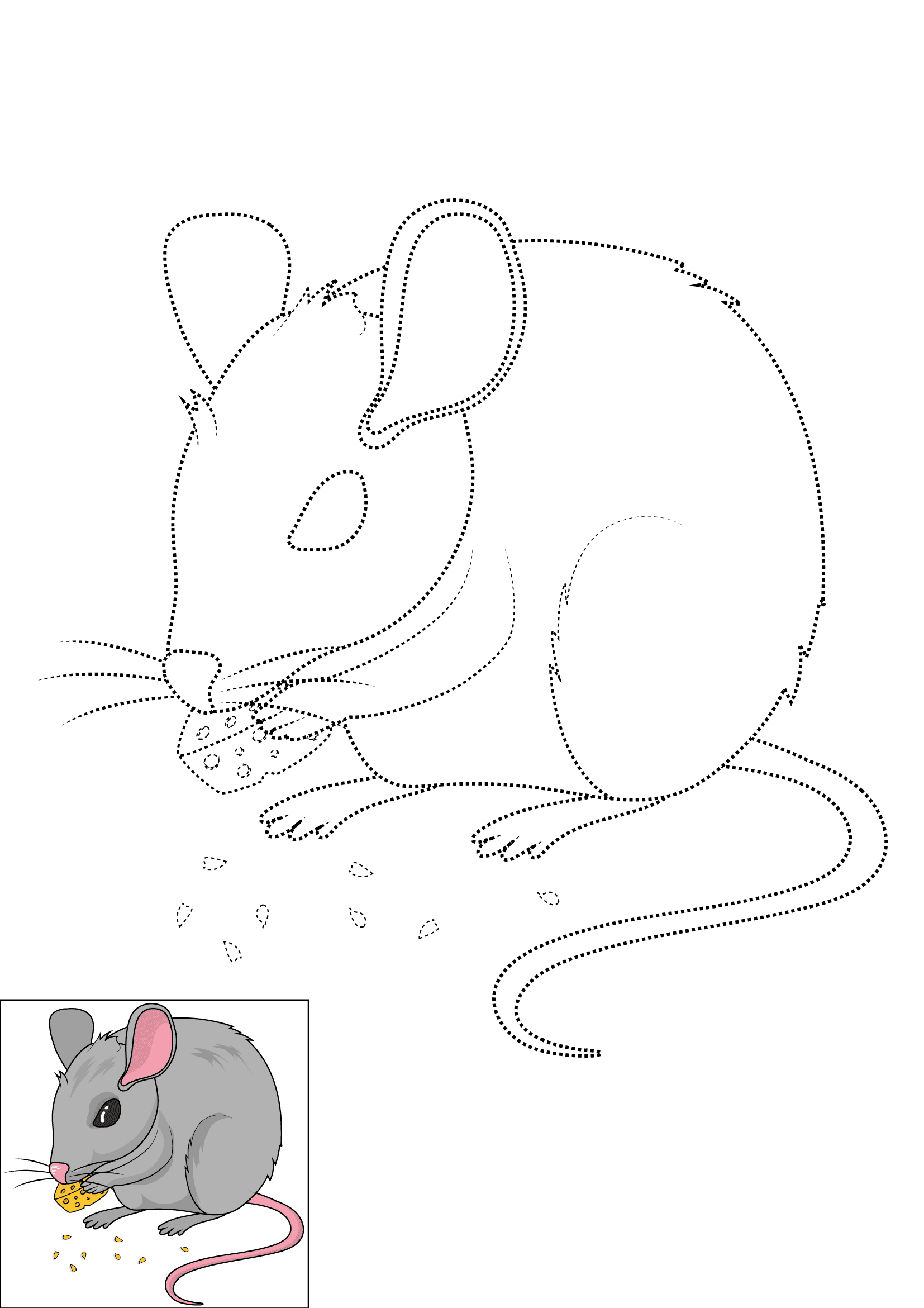 How to Draw A Mouse Step by Step Printable Dotted